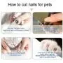 Adniac Dog Nails Clippers and Trimmer-Professional Pet Grooming Tool,Razor Sharp Blades,Safety Guard to Avoid Overcutting,Free Nail File Adniac Dog Nails Clippers and Trimmer-Professional Pet Grooming Tool,Razor Sharp Blades,Safety Guard to Avoid Overcutting,Free Nail File