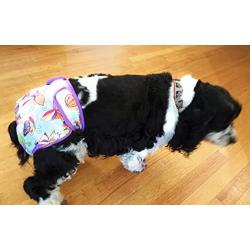 Dr. Judy Morgans Naturally Healthy Pets Washable Reusable Dog Diapers (Large)