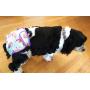 Dr. Judy Morgans Naturally Healthy Pets Washable Reusable Dog Diapers (Large)