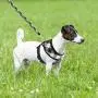 PUPTECK Soft Mesh Dog Harness with Leash - Plaid Adjustable Puppy No Pull Harnesses - Pet Padded Walking Vest