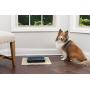 PetSafe Digital Two Meal Automatic Pet Feeder