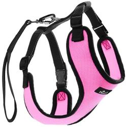 TwoEar Dog Harness |Car Harness for Dog |Adjustable Pet Harness |Breathable Pet Harness with Car Vehicle Safety Seat Belt. Outdoor Walking, for X-Small/Small/Medium/Large Dogs Cat Puppy