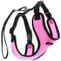 TwoEar Dog Harness |Car Harness for Dog |Adjustable Pet Harness |Breathable Pet Harness with Car Vehicle Safety Seat Belt. Outdoor Walking, for X-Small/Small/Medium/Large Dogs Cat Puppy