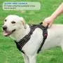 tobeDRI No Pull Dog Harness Adjustable Reflective Oxford Easy Control Medium Large Dog Harness with A Free Heavy Duty 5ft Dog Leash tobeDRI No Pull Dog Harness Adjustable Reflective Oxford Easy Control Medium Large Dog Harness with A Free Heavy Duty 5ft Dog Leash