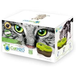 Cat H2O