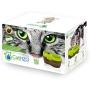 Cat H2O