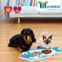 Bundaloo Elevated Cat Bowl Feeder Set - Raised Bowls for Cats & Puppies with Cute Fish Design & Vibrant Colors - 2 x 7 Oz Durable Stainless Steel Bowls for Food and Water – 18.5”x 10.5”x 2.13”