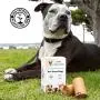 Dog Poop Bags 100% Biodegradable Compostable Unscented Disposable Plastic Free Large Premium Doggy Waste Trash Bag ASTM D6400 Certified 120 Count Dog Poop Bags 100% Biodegradable Compostable Unscented Disposable Plastic Free Large Premium Doggy Waste Trash Bag ASTM D6400 Certified 120 Count
