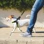 GEILHOPET Dog Harness and Leash Set