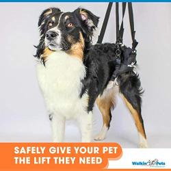 Lift Rear Dog Support Harness | Helps Dogs with Arthritis, Weakness, Joint Injuries Rehab | Adjustable Handles