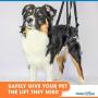 Lift Rear Dog Support Harness | Helps Dogs with Arthritis, Weakness, Joint Injuries Rehab | Adjustable Handles