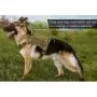 DGSD Tactical Dog Harness with Metal Buckle,Working Pet MOLLE Vest with Handle, Easy Control Handle for Large Dog Walking, Hook and Loop for Dog Patch, No Pulling Front Leash Clip,C,M DGSD Tactical Dog Harness with Metal Buckle,Working Pet MOLLE Vest with Handle, Easy Control Handle for Large Dog Walking, Hook and Loop for Dog Patch, No Pulling Front Leash Clip,C,M