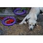 Puller Unique Dog Toy Purple Rings(2 Items) for Every Day Outdoor Training