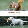 IOKHEIRA Squeaky Plush Dog Toys Large Breed, Squirrel Puppy Chew Toy, Durable Dog Plush Toys, Stuffed Dog Toys for Medium Dogs, Tough Dog Chew Toy for Large Dogs