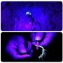 Black Light UV Flashlight,Mini 395nm 21 LED Blacklight Detector for Cat/Dog Urine, Pet Stains and Bed Bug Matching with Pet Odor Eliminator[Batteries Included]