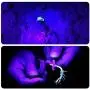 Black Light UV Flashlight,Mini 395nm 21 LED Blacklight Detector for Cat/Dog Urine, Pet Stains and Bed Bug Matching with Pet Odor Eliminator[Batteries Included]