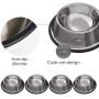 Rapsrk Stainless Steel Dog Cat Bowls for Small/Medium/Large Dogs,Cat Kitten Rabbit Dish with Rubber Base , Pets Feeder Bowl and Water Bowl Perfect Choice (4Pack)