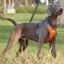 Orangdogo No Pull Dog Harness Adjustable Reflective Easy Control Small Medium Dogs Outdoor Pet Vest Orangdogo No Pull Dog Harness Adjustable Reflective Easy Control Small Medium Dogs Outdoor Pet Vest