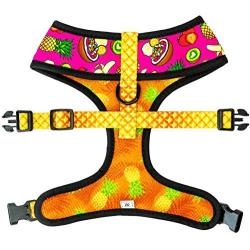 Pawmigo Reversible Dog Harness