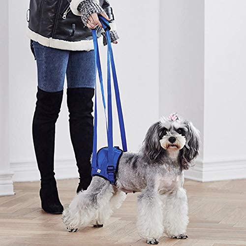 Dog Lifting Harness Dog Sling Walking Assist Belt Breathable Dog Mobility Recovery Support Sling for Hip Assist Stability Injured Disabled Arthritis Joint Pain Elderly