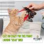Pet Craft Supply Co. Kitty Condor Crazy Catnip Cuddler Funny Cuddling Chasing Hunting Irresistible Stimulating Soft Plush Boredom Relief Interactive Cat Toy with Realistic Feathers