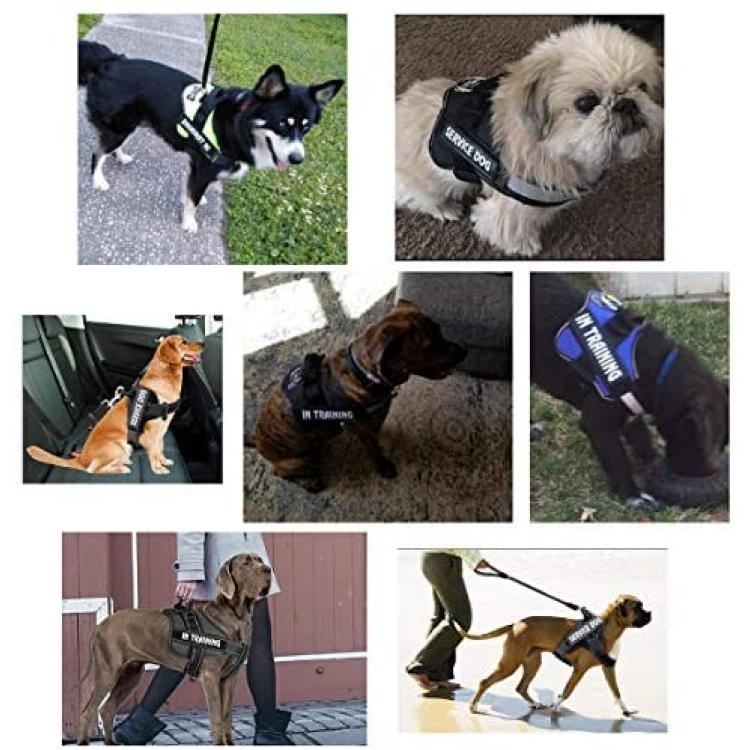 2Pcs dog vest patches Do Not Tags Harness Vest Dog For Dog Harness for