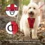 Kurgo Dog Harness/Car Harness for Dogs
