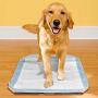 Simple Solution Dog Pad Holder | Portable Tray for Pet Training and Puppy Pads | Protection Against Pad Leakage, Bunching, and Shredding | Fits Pads 21 x 21 Inches or Larger