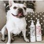 Nicole + Brizee N+B Pet Shampoo | for All Breeds and Hair Types | Made Natural and Organic Ingredients | Made in The USA