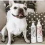 Nicole + Brizee N+B Pet Shampoo | for All Breeds and Hair Types | Made Natural and Organic Ingredients | Made in The USA Nicole + Brizee N+B Pet Shampoo | for All Breeds and Hair Types | Made Natural and Organic Ingredients | Made in The USA