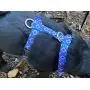 No Pull Multi-Point Adjustable No Escape Dog Harness by Fearless Pet Front Clip Back Clip Dog Harness (Blue Aztec, Small (14-20'' Girth)) No Pull Multi-Point Adjustable No Escape Dog Harness by Fearless Pet Front Clip Back Clip Dog Harness (Blue Aztec, Small (14-20'' Girth))