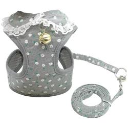 Didog Adjustable Pet Mesh Vest Harness and Leash Set with Cute Bell for Puppy Small Medium Dogs and Cats