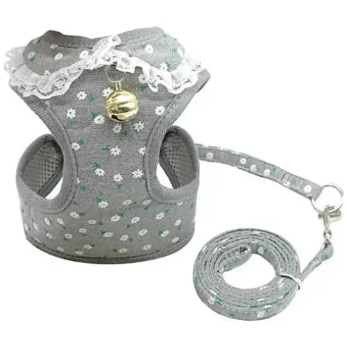 Didog Adjustable Pet Mesh Vest Harness and Leash Set with Cute Bell for Puppy Small Medium Dogs and Cats Didog Adjustable Pet Mesh Vest Harness and Leash Set with Cute Bell for Puppy Small Medium Dogs and Cats