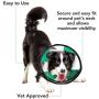 ProCollar Pet Recovery Cone E-Collar for Dogs and Cats - Always Use with Your Pets Everyday Collar - Comfortable Soft Collar is Adjustable for a Secure and Custom Fit