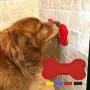 Downtown Pet Supply Silicone Dog Lick Bone - Shower Assistant Lick Pad Distraction Device - Bath Treat Buddy Grooming Helper, Bone Shaped with Strong Suction Cups for Dogs Downtown Pet Supply Silicone Dog Lick Bone - Shower Assistant Lick Pad Distraction Device - Bath Treat Buddy Grooming Helper, Bone Shaped with Strong Suction Cups for Dogs