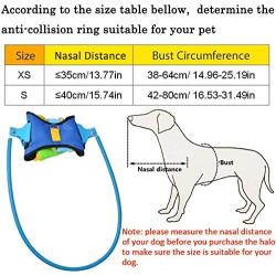 Blind Dog Halo S Harness Guiding Device, Pet Anti-Collision Circle Adjustable Pet Safe Halo Harness for Blind Dogs, Cataract Protective Ring for Small Visually Impaired Dog Outdoor Walking(S)