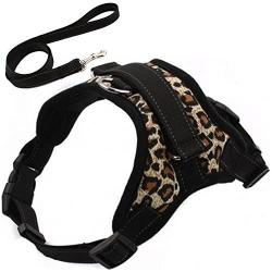 LUPAPA Outdoor Pet Vest Soft Mesh Harness, 3M Reflective, Safety Lock Buckle, Adjustable Dog Harness and Leash Set, Easy Control for Small Medium Large Dogs Walking Training Running