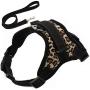 LUPAPA Outdoor Pet Vest Soft Mesh Harness, 3M Reflective, Safety Lock Buckle, Adjustable Dog Harness and Leash Set, Easy Control for Small Medium Large Dogs Walking Training Running