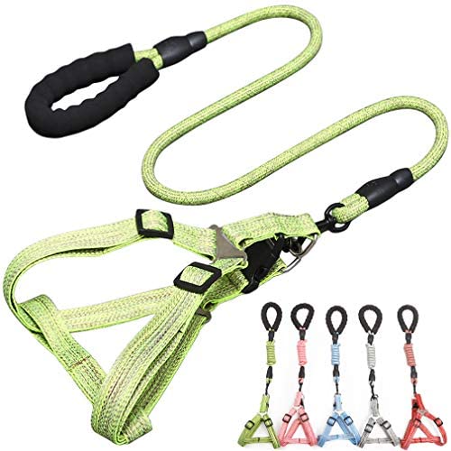 Adjustable Dog Harness Pet Rope Leash Durable Nylon Leash with Soft Padded Training Vest Safe Pull Pet Walking Harness