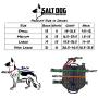 Salt Dog K9 Tactical Training Vest