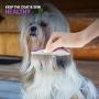 Poodle Pet Dog Combs for Grooming | 2 Pack | Stainless Steel Teeth Easily Remove Dirt | Proper Care Prevents Knots and Mats for Long and Short Haired Pets |Anti-Slip Comfort Grip Handle| Purple