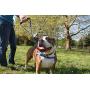 BeBopUSA Front Lead Dog Harness - Large - Blue