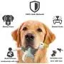 Plush Dog Toys, Interactive Stuffed Dog Toys with Crinkle Paper, Durable Squeaky Chew Toys for Puppy Small Medium Dogs, Cute Dog Toys