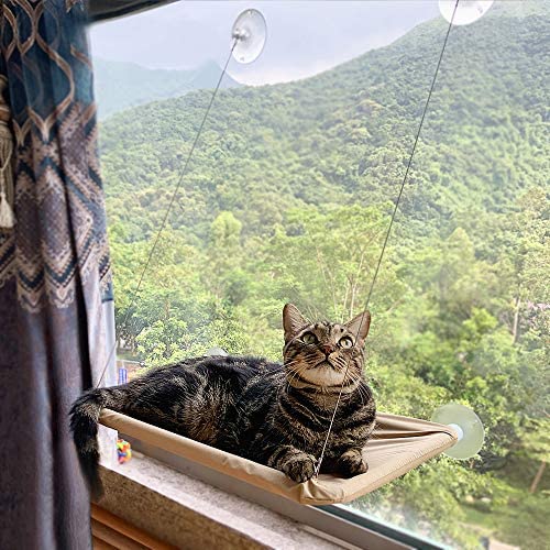 Cat Window Perch, Cat Window Seat Bed Hammock Space Saving Design 360° Sunbath Holds Up to 50lbs for Any Cat Size