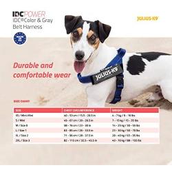 Julius-K9 IDC Color & Gray Belt Harness for Dogs