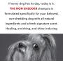 PRIDE AND GROOM - The Non Shedder, Bottle of Pet Shampoo, 16 oz.