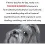 PRIDE AND GROOM - The Non Shedder, Bottle of Pet Shampoo, 16 oz.