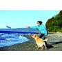 Chuckit! Paraflight Dog Toy, Large-2 Pack