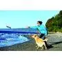 Chuckit! Paraflight Dog Toy, Large-2 Pack