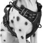 IMIFUN No Pull Dog Harness,Adjustable Pet Reflective Oxford Soft Vest for Small Medium Large Dog Easy Control Harness (Black, L，Chest 21.6-29.5‘’)